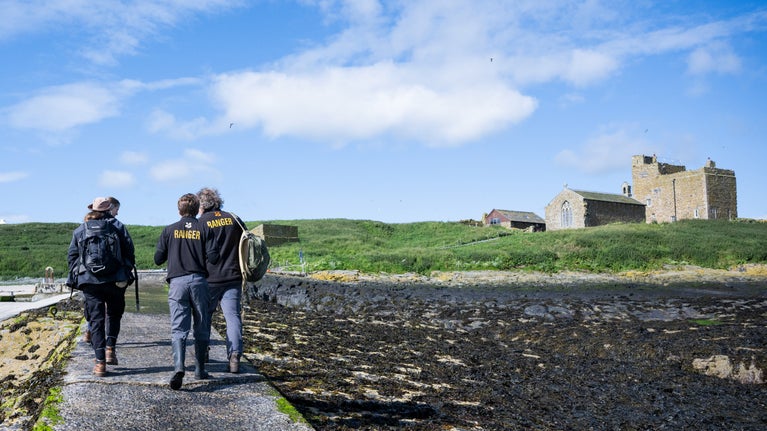 Four rangers, wearing a black shirt with the word 'ranger' in yellow lettering walk up the slipway on the Farne Islands. Tan brick buildings are on the right hand side of the image. Overhear terns fly above against a blue sky.